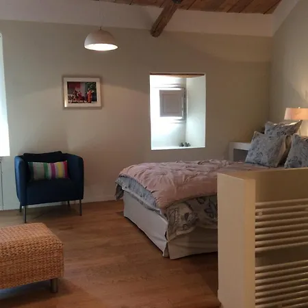 Le Moulin Des Pinchinats Bed & Breakfast *