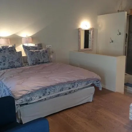 Bed & Breakfast Le Moulin Des Pinchinats